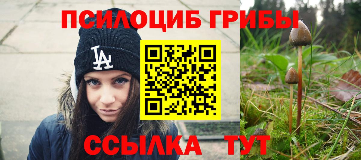 Псилоцибиновые грибы Cubensis  Вход с VPN  Аксай 